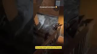 Последствия вчерашнего урагана в Речице #новости #беларусь