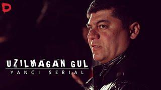 Uzilmagan gul serial | Birgalikga tomosha qilamiz!