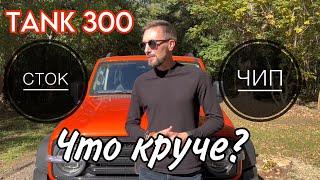 TANK 300 | ЗАМЕРЫ СТОКА И ЧИПА STAGE 1. Что выбрать для себя?