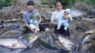 Encounter a huge school of fish - catch fish with two kids, take them to market to sell