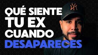 QUÉ SIENTE TU EX SI DESAPARECES