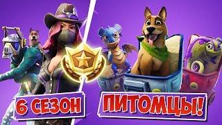 *6 СЕЗОН* БОЕВОЙ ПРОПУСК и НОВЫЕ ПИТОМЦЫ! [Fortnite Battle Royale]