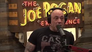 Shavkat Rakhmonov greatness is mentioned on JRE fight companion