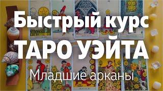 Быстрый Курс Таро Уэйта. Младшие Арканы. Значения арканов | Школа Таро Леры Йови