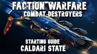 Eve Online PvP - Faction Warfare Starter Destroyer Builds Part 2 of 2 (Caldari State) 2024