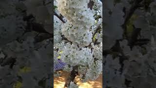 Жуда гузал лахзалар ОБУНА БУЛИНГ ХАЁТ ЛАХЗАЛАРИДА УЧРАШАМИЗ