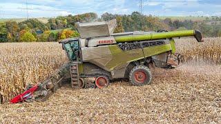 Claas Lexion 8900 mit Geringhoff Horizon Star* II  bei der Maisernte 2024 | Corn Harvest 24