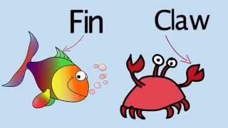 What's Under The Sea? Kids Songs by Dave Moran.