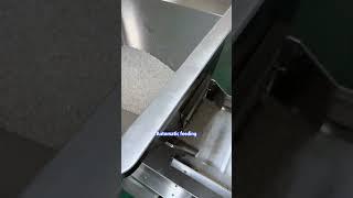 Rice filling machine  #packingmachine #foodpackingmachine #foodmanufacture #machine