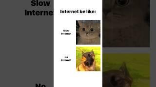 Internet be like