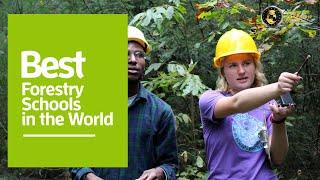 7 Best Forestry Schools in the world 2022