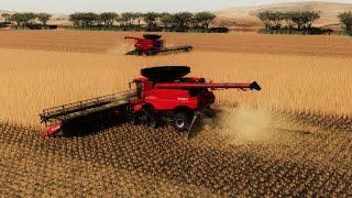 Big Harvest Western Australia in Farming Simulator 19 - Movie