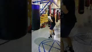 Max Boxing 1992