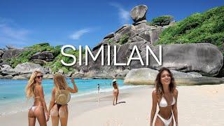 Dive into Similan’s Paradise  | 4K Island Walking Tour, Thailand 2024