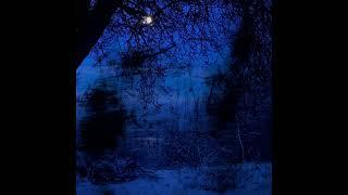 iceleep - path (official audio)