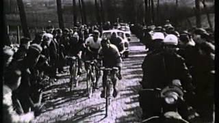 ronde van vlaanderen 1962 Rik Van Looy