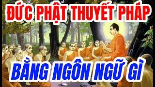 ĐỨC PHẬT THUYẾT PHÁP BẰNG NGÔN NGỮ GÌ ?