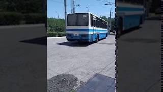 Звук двигателя Raba-MAN D10 автобуса Ikarus 250.95 (С 651 ВУ 123)