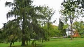 Żelazowa Wola F.Chopin / A.Ka.