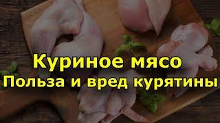 Куриное мясо . Польза и вред курятины