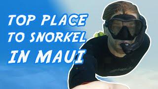 Best Place to Snorkel in Maui Hawaii | The Adventure Buddies