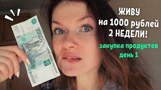 ЖИВУ НА 1000 РУБЛЕЙ 2 НЕДЕЛИ! ЗАКУПКА ПРОДУКТОВ/ДЕНЬ 1.