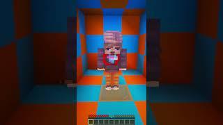 Minecraft Doors Lead to MrBeast, Diamond Tiger