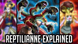 Reptilianne Explained in 23 Minutes [Yu-Gi-Oh! Archetype Analysis]