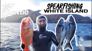 Wettie TV - Spearfishing NZ Volcano White Island!!!