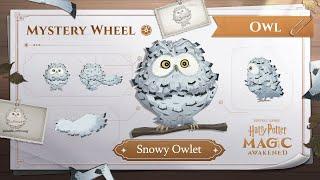 Harry Potter: Magic Awakened - Mystery Wheel: Snowy Owlet