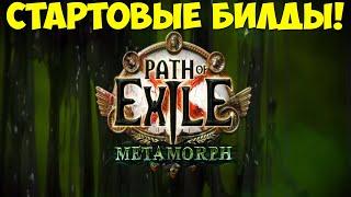 Path of Exile: Топ стартовых билдов лиги metamorph 3.9. Чем стартовать?