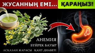 41 АУРУҒА ЕМ! ЖУСАННЫҢ емдік қасиеті...  Жусанның пайдасы.