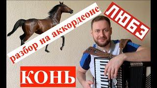 Конь - разбор на аккордеоне | Как играть коня | Выйду в поле с конем урок | Accordion lesson