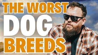 The WORST BEHAVED Dog Breeds I Work With As A Dog Trainer!