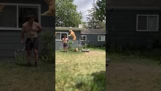 Adorable puppy loves his trampoline #dogsofyoutube #goldenretriever #puppy