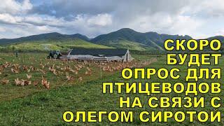 Новые ветправила по птице - на связи с Олегом Сиротой, курятник на 1000 кур разделили на 2 части