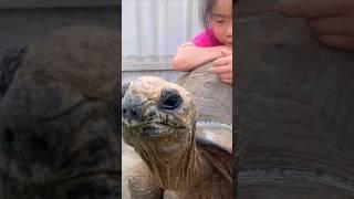 BABY PET#baby#comedy#trending#babyshorts#pets#animals#status#top#wildlife#shortsvideo#viralvideo