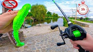 3h pour pêcher un gros poisson ?! 1 an après, je reviens pêcher cet endroit de dingue !!!