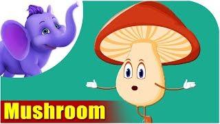 Mushroom - Vegetable Rhyme