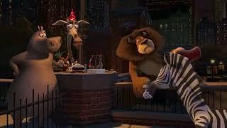 Madagascar 2005 Film Clip   Martys Birthday Party Scene