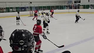 2023-12-16 B Div Hawks 2 - Sabres 3