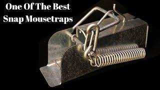 The Mini Ouell Mousetrap From Canada. One Of the Best Snap Traps I Have Ever Tested.