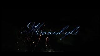 SKZR ft. (Flocki) Moonlight (Official Music Video)