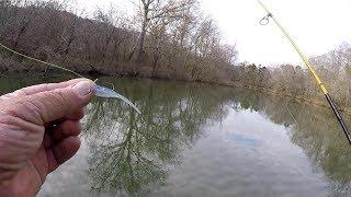 Crappie Fishing A Creek With A Jig