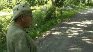 A Thomson Family History