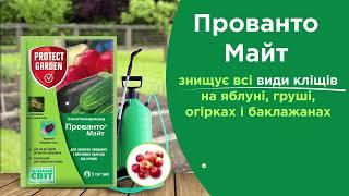 «Прованто® Майт» знищує всіх шкідливих кліщів на плодових та овочевих культурах