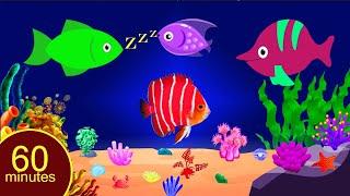 Bedtime Lullabies and Calming Undersea Animation Baby Lullaby#Baby sleep music stv#09