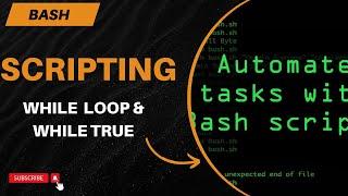 Loops in Script ( While Loop ) | Bash Script | RHCSA 9.0 | MrCyberAK | Hindi