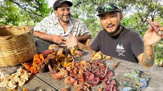 17 Edible Mushrooms I’ve Never Tried! Foraging with Expert Mycologist | Nicaragua