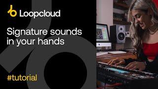 Loopcloud PLAY - Signature sounds in your hands